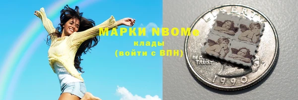 эйфоретик Няндома