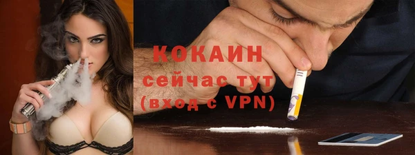 мдпв Новодвинск