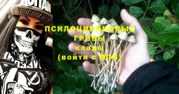 мдпв Новодвинск