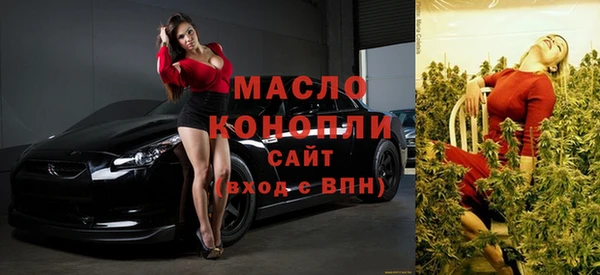 эйфоретик Няндома