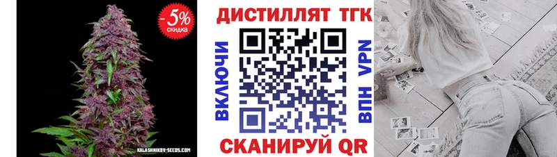 shop Telegram  Североморск  ТГК концентрат  сколько стоит 