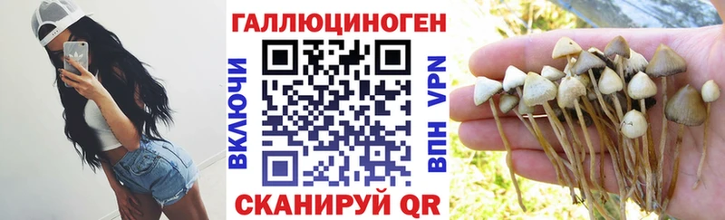 kraken онион  цена наркотик  Североморск  Галлюциногенные грибы GOLDEN TEACHER 