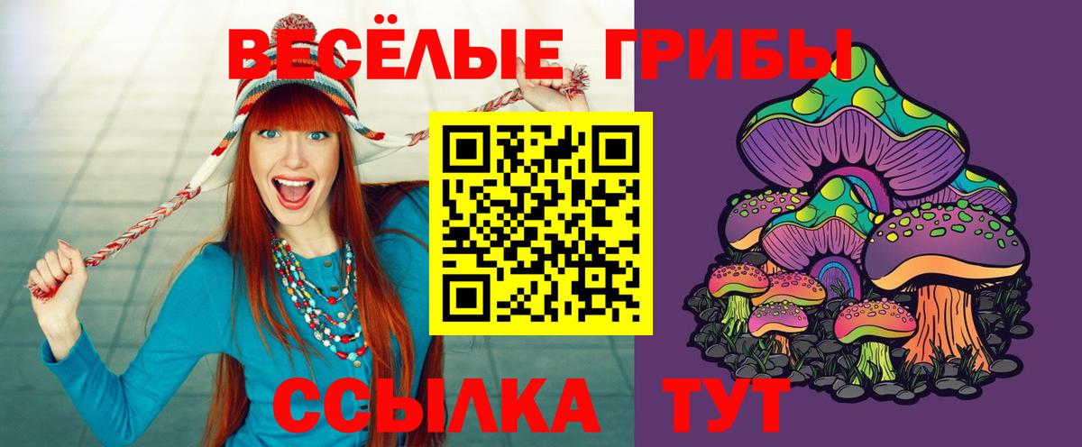 Североморск  Галлюциногенные грибы Psilocybe  Вход с VPN 