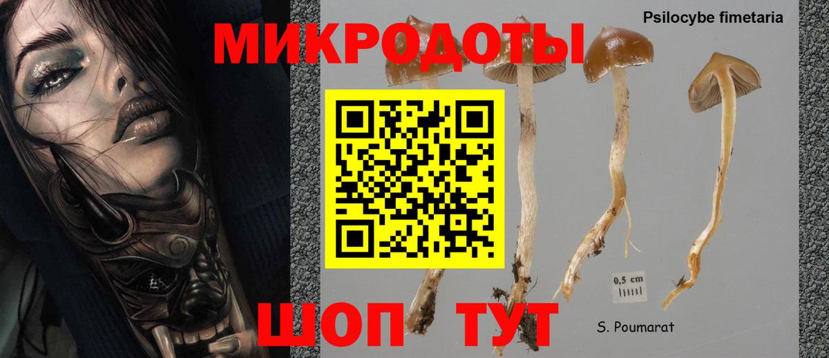Галлюциногенные грибы мицелий Североморск